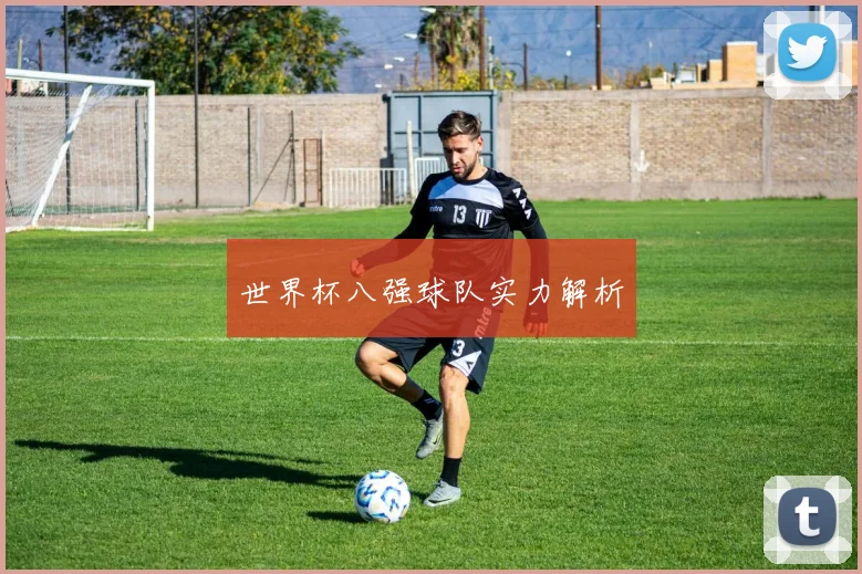 世界杯八强球队实力解析 - 九游官网