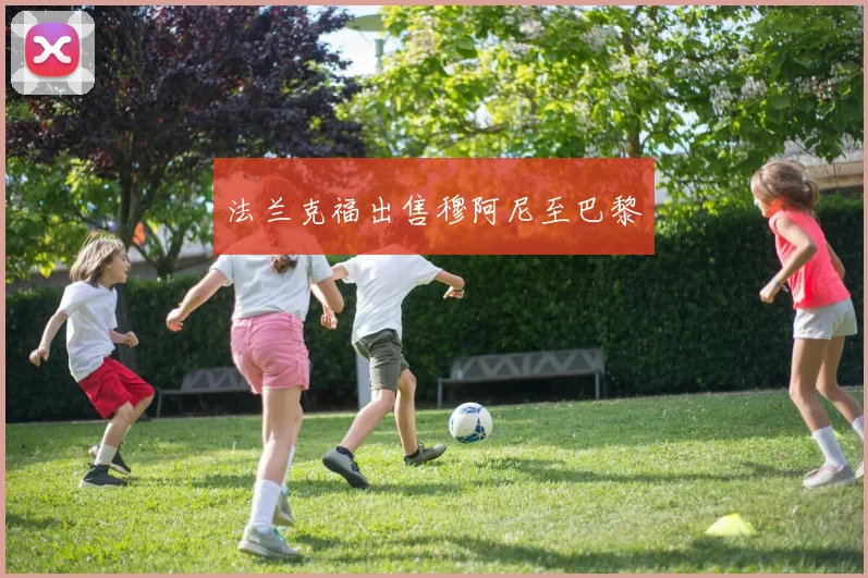 法兰克福出售穆阿尼至巴黎 - 九游官网